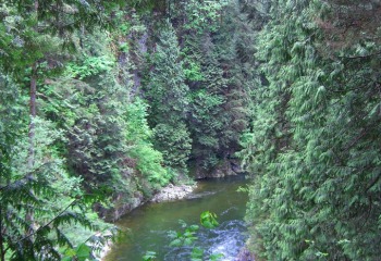 puentesusp01