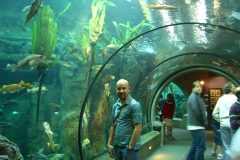 aqupet01