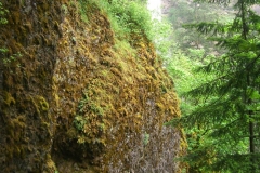cascade02