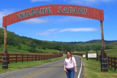 solsafari01
